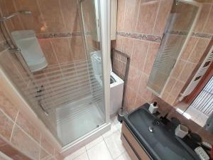 y baño con ducha, aseo y lavamanos. en Appartements Village Naturiste Exultation Passion, en Cap d'Agde