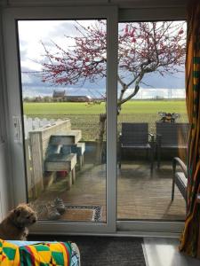 a dog sitting on a couch in front of a door at Bridlington's Bolt Hole chalet in Bridlington