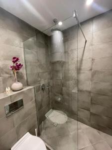 a bathroom with a glass shower with a toilet at Apartments Mir Varna city in Varna City