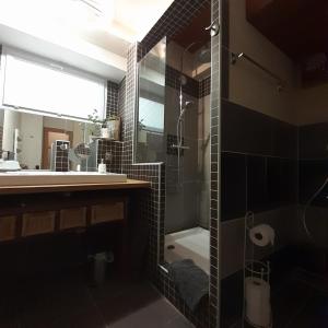 アヴィニョンにあるOustaù des Carmesのバスルーム(シャワー、シンク、鏡付)