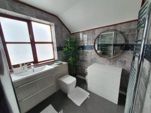 ein Badezimmer mit einem WC, einem Waschbecken und einem Spiegel in der Unterkunft Large Cosy Room to Stay in South Reading in Shinfield