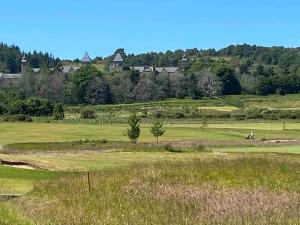 a green field with a horse in the distance at Premium apartment in a peaceful location with great views. in Inverness