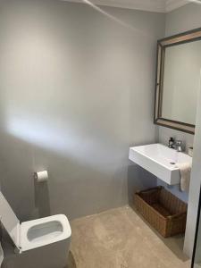 a bathroom with a white toilet and a sink at Contemporary & Spacious Courtyard Unit in Gillitts