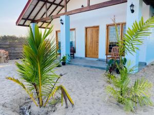 Zahrada ubytování Beach Escape