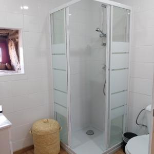 een douche met een glazen deur in de badkamer bij Douro Feels Like Home in Fontelo