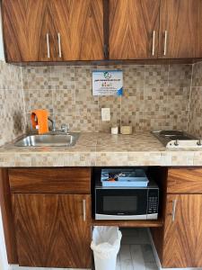 um balcão de cozinha com um lavatório e um micro-ondas em Departamento familiar con vista al mar em Manzanillo