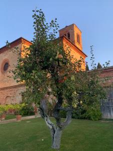 Monastero Sant'Anna in Camprena外面的花园