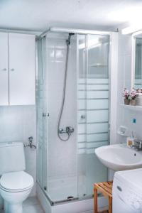 a bathroom with a shower and a toilet and a sink at Dimitra's Sunset View Apartment in Kalivia Poligirou