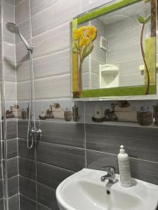 La salle de bains est pourvue d'un lavabo et d'un miroir. dans l'établissement Mohammed V Airport HOME, à Deroua