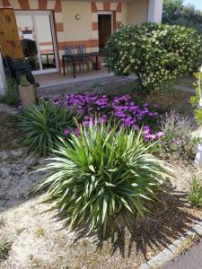 Zahrada ubytování Appartement spacieux Verdon Sur Mer