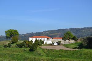 uma casa branca num campo verde com uma estrada em Casa de Cartemil em Ponte de Lima