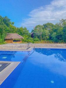 a blue swimming pool with a hut in the background at Green villa yala in Tissamaharama