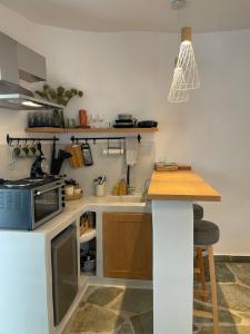 a kitchen with a counter and a stove top oven at Dryopis Studio in Dhriopís