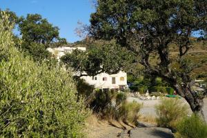 a house on the side of a hill with trees at Lovely 1-Bed Apartment literally on the beach in Cerbère