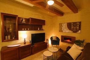 a living room with a television and a fireplace at Farmhouse Renee in Qala