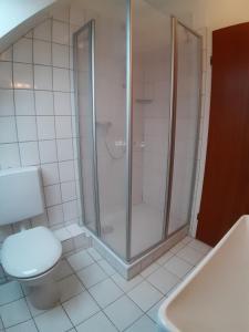 a bathroom with a shower and a toilet and a sink at Haus Strandgang, Whg 4 in Kellenhusen