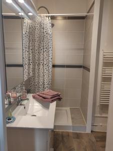 a bathroom with a sink and a shower at La tranquillité proche des châteaux de la Loire. in Vendôme