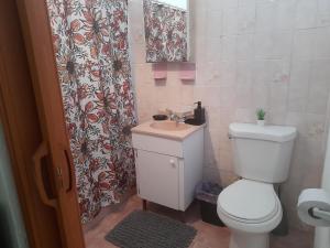 a bathroom with a toilet and a sink and a shower curtain at Cozy Apartment across the San Juan Airport in San Juan