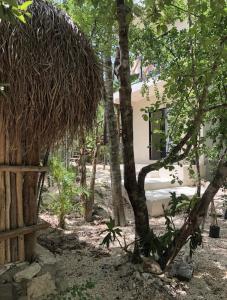 a house with a straw roof in a forest at Aldea Jaguar in Francisco Uh May