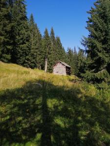 Táj Show holiday homes közelében