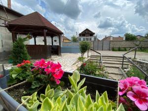 a garden with pink flowers and a gazebo at Pensiunea Roșu in Orăştie