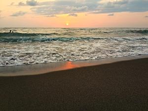 a beach with the ocean and a person in the water at H2O in Ureki