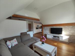 a living room with a couch and a tv at Apartmaji Mojca in Bohinj