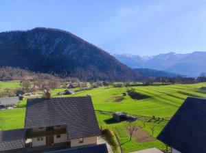 a house with a green field and mountains in the background at Apartmaji Mojca in Bohinj