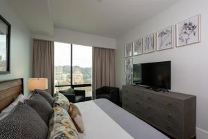 Televisi dan/atau pusat hiburan di 'The Views Over Pack Square Park' A Luxury Downtown Condo with Mountain and City Views at Arras Vacation Rentals