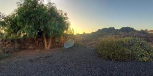 Κήπος έξω από το Lajares Villa y estudios Art Lab Fuerteventura