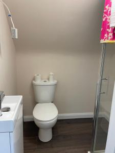 a white bathroom with a toilet and a sink at Shindilla Cottage Air B&B in Galway
