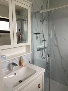 a bathroom with a sink and a shower at Sea 2 in Middelkerke +18 photos