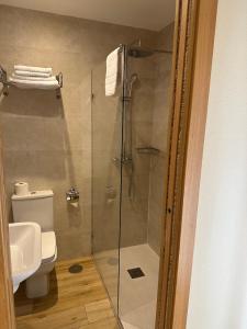 a bathroom with a shower with a toilet and a sink at Hostal Toledo Plaza in Toledo