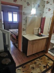 uma pequena cozinha com um lavatório e um lavatório em Cottage 5 em Karpaty