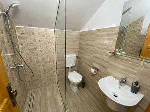 a bathroom with a shower and a toilet and a sink at Pensiunea Roșu in Orăştie