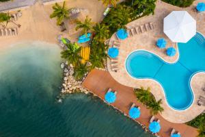 an overhead view of the pool and beach at the resort at Postcard Inn Beach Resort & Marina in Islamorada