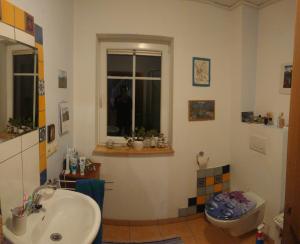 een badkamer met een wastafel en een toilet bij Privatzimmer im Schwedenhaus Unsere Kleine Farm in Monschau
