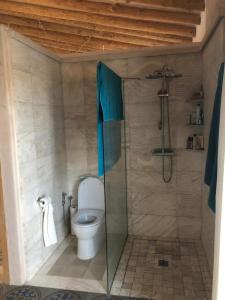 a bathroom with a toilet and a shower at Milagro de Algar in Vejer de la Frontera