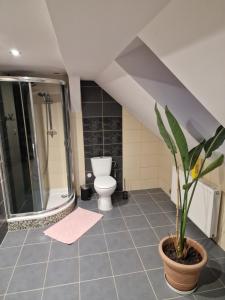 a bathroom with a toilet and a shower and a potted plant at Asieńka 1 in Mirsk
