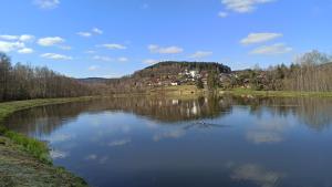 a large lake with a town in the background at Rodinná chalupa in Zdíkov