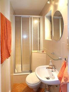 ein Badezimmer mit Dusche, Toilette und Waschbecken in der Unterkunft Ferienhaus Zum Gründel in Prossen