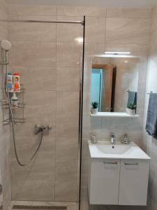 La salle de bains est pourvue d'une douche et d'un lavabo. dans l'établissement Centar M2, à Trebinje