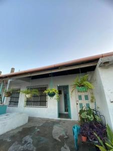 une maison avec des plantes en pot sur son côté dans l'établissement Habitación Privada en Flores, à Flores