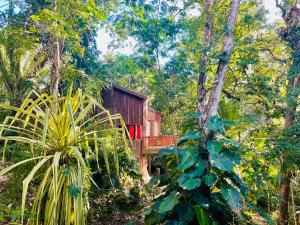 une maison au milieu d'une forêt dans l'établissement Mariposa Jungle Lodge, à San Ignacio