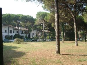a group of trees in a field with houses at Villetta Marfisa in Lido di Spina