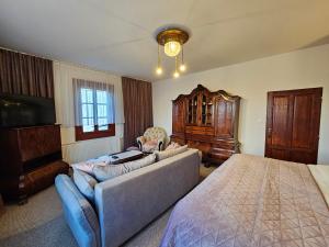 a bedroom with a couch and a bed and a tv at Penzión Villa Breza in Nový Smokovec