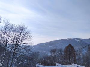 a view of a mountain with snow on the ground at Apartamenty Ustroń Jaszowiec 92 abc in Ustroń