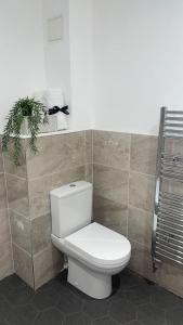 a bathroom with a toilet and a plant on a shelf at 2 bed Penthouse in Liverpool City Centre in Liverpool