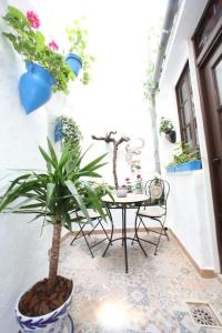 una habitación con una mesa y una maceta en Casa de las Campanans, en Iznájar