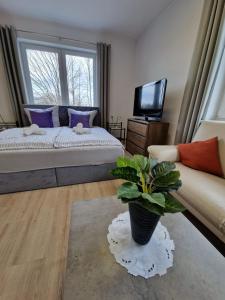 1 dormitorio con 1 cama, TV y planta en Willa Adler Ustroń - Spokojna okolica, Blisko cntrum, en Ustroń